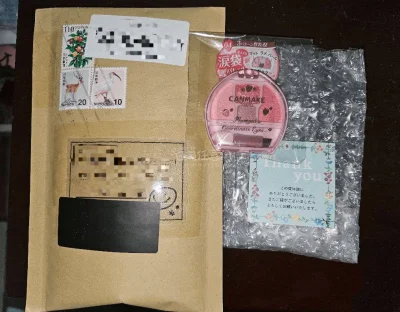 日本SALONIA负离子直板夹和canmake卧蚕盘分享