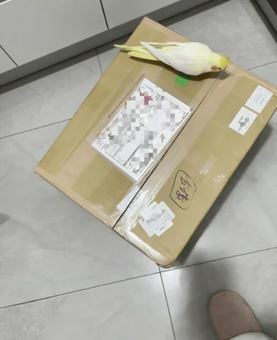 物超所值，很快很安全！11kg平安回家！ 又可以打游戏了，任天堂wiiu简直就是我的梦中情机 太划算啦！


