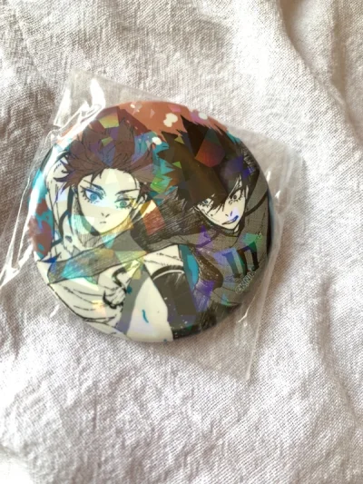 买了几个蓝锁的吧唧～现在mer和xy都价好高 心痛 ems物流超快 起飞以后四天就送到了 包装也很好～满意！