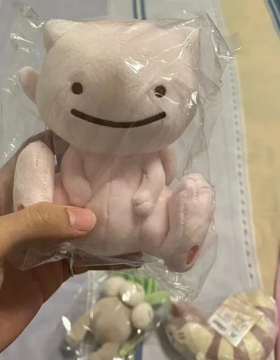 在挖煤姬邮寄回来的第二箱宝可梦毛绒，走的还是ems，合单只用了三四天，发货很快，毛绒的吊牌也保护的很好，没有弯折，愉快的购物体验?