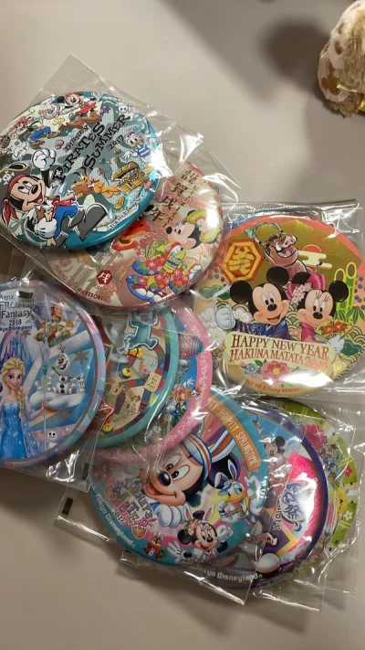 这次是买了一大堆东京迪士尼的吧唧徽章，都是全新的，打包价很划算。还有两只港迪的达菲玫玫挂件，成色挺好的。还有骏河屋切的奇奇蒂蒂玩偶，就是少了吊牌。总体上很好。