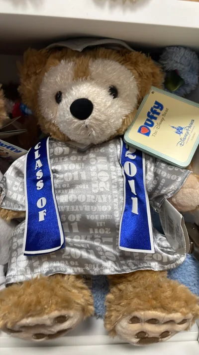 这一单走的竹蜻蜓，运费很划算，希望竹蜻蜓扩大审核范围啊，竹蜻蜓运送玩具简直完美。这次有一只蹲了很久的毕业达菲，虽然价格不便宜，但是东西很新，保存的很好。