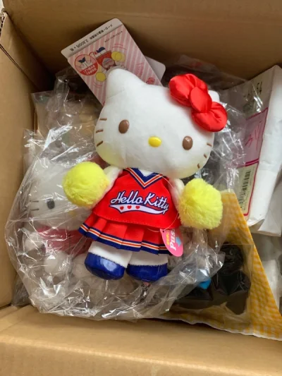 为了kitty我开始研究海淘，挖煤姬可以支付宝就真的很方便，省去了很多麻烦的流程。海淘第一箱包裹选了ep，刚开始没经验东西发的有点多，被税了，不过还是安全拿到。不得不说挖煤姬的工作人员真的很能塞！能看出已经尽量压缩体积了！