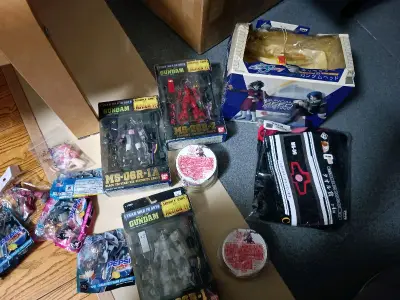 第六单和第五单一样走的海运，由于被海关通知需要补充申报所以和第五单一起到的，可能箱子太大太重，被海关查了，损失30块申报费。