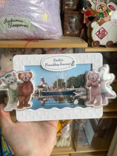 这一单是竹蜻蜓，东西很少审核很快，两个雪莉玫公仔，还有一个达菲朋友的相框，很少见啦。竹蜻蜓运公仔还是挺划算的。