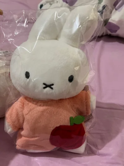 太可爱了 米菲我的最爱 第一次海淘非常顺利 总结经验 现在已经还在陆陆续续买了 买一些绝版的小可爱们 真的买到巨开心 