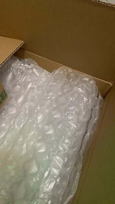 咱就是说以后快递还是选ems吧！虽然包装都一样非常好但是急急国王真的等不了。没有被税，感谢海关不杀之恩。家人们一定要放手一搏！