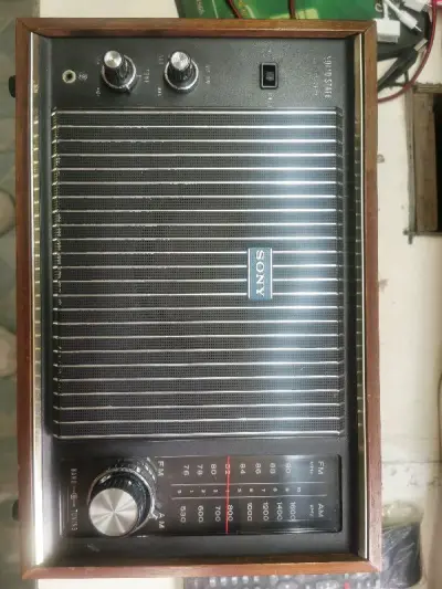 比较喜欢古老收音机，在挖掘机里找了很多台，最后决定了这台索尼TFM9500，感觉这台收音机老而不旧，在国内不改频情况下室外可以收到十来个电台，收音也比较清晰，很满足了。