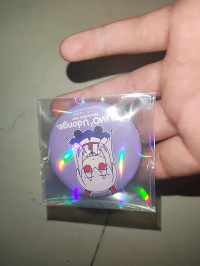 没错跟上一单一样都是铃仙fumo没想到能买到两个，就一起拿下了，很不错，下单速度很快，快递物流也不错，祝大家也拿到自己喜欢的东西