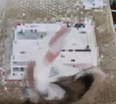 很不错，包装很严实，东西美美到货，手续费便宜，发货快，运输快，10天就到了，假期一过就能美美收到真是太快乐了，读太太画的太好看了₍˄·͈༝·͈˄*₎◞ ̑̑