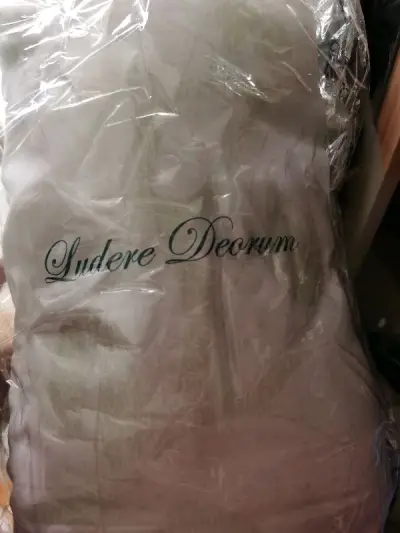 一如既往的好， 竹蜻蜓物流速度很快，十多天就到了。箱子是骏河屋的硬纸箱，箱子内放了很多泡泡纸，谷子完好无损，平安拿到，非常棒的体验