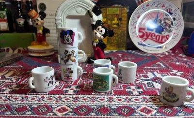 买了好多迪士尼的周边，东西都非常新，与卖家描述的完全一致，真的很喜欢，发货速度也非常快，路上也没有被税，很满意的一次购物。