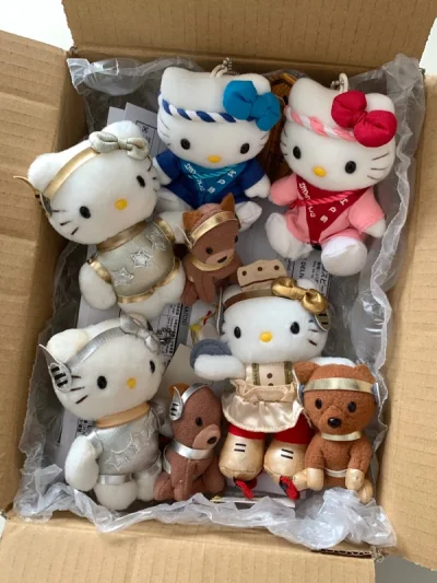 感觉日本的kitty都被国内买家挖空了 光靠搜索关键词很难搜索到特别好看的 这套拍卖买到的好喜欢啊！就是希望一个订单发货前也可以帮忙减减重哈哈！稍微超了一点发ems感觉好贵哦 速度倒是杠杠的！