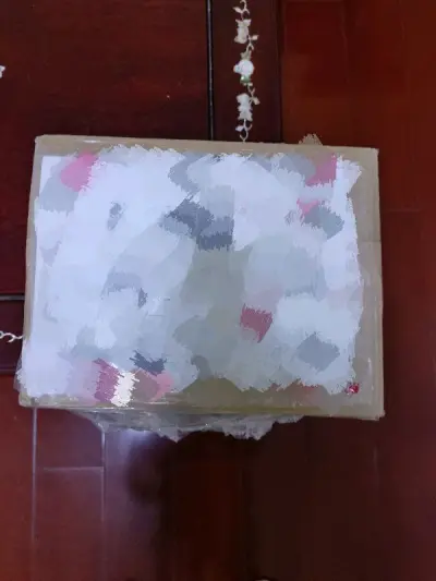 ems的速度稳定，这次用了六天。包装一如既往的好，上面塞满了白纸，下面垫着泡泡垫。东西越买越多，继续买买买！