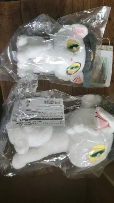 第二次购买了，包装非常完好，发货速度也非常的快，客服的服务态度也非常的好。期待下次还能继续交易。非常感谢。