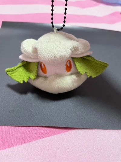 是挖煤姬的老客户了 ，一直以来用挖煤姬下了很多单，买到了很多喜欢的东西，物流也很快就收到了，每次买到心仪的商品收到货的时候都很开心。