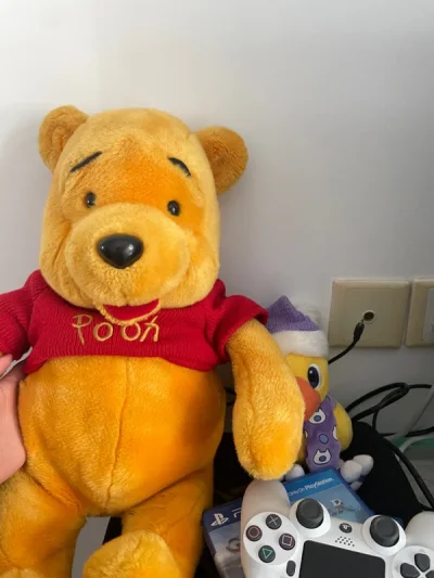 包装很好都收到了 有些还有感谢卡片和邮票 都保存好贴手帐了/ 超可爱的一只维尼还有一只全新的sony袋袋-`❤︎´‐