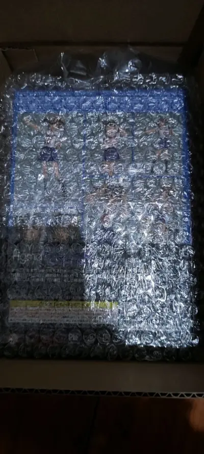 捡漏全新未开封带特典，这款国内很冷门所以价格高。第一次使用竹蜻蜓物流还是很快的，到货检查没有问题直接堆积