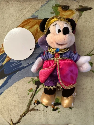 挖煤姬第N单啦…
有了挖煤姬之后就忍不住买买买…
这次买了很多迪士尼可爱的公仔挂件…
选了EMS…一个星期不到就收到了…
包装还是很不错的！