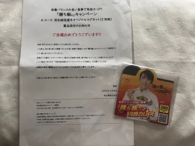 史上最轻的一个包裹，只有两个冰箱贴和两张明信片。所见即所得，无任何意外和瑕疵。目前所有订单都已安全运回，未来随缘啦。