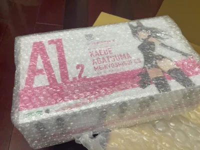 稀少品 到货水
没想到真的一拍就中了 虽然运输时间还是比较长的 但还是很喜欢
包装很到位 作为吾妻枫的脑残粉表示赚到了 感谢平台