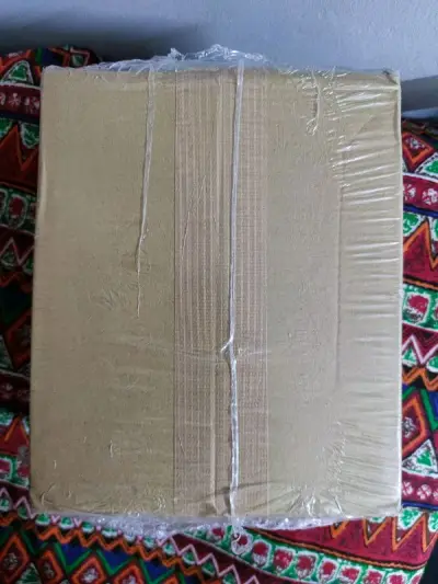 用挖煤姬日淘已经淘过十几单了，这是第一次买骏河屋的东西，都说骏河屋速度很慢，这次从下单到入库总共用了一周的时间，还是可以接受的。
另外这单也是第一次走EMS，速度是真的快，两三天就到国内了。
最后，东西本身品相也很好，没什么瑕疵，后面也会继续支持挖煤姬的。