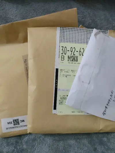 这次是竹蜻蜓，单机吃谷挖煤姬真的很香，物流速度也还可以，包装一如既往的好，会继续买买买的，期待下一箱了