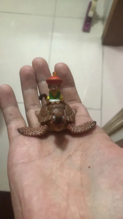 首先卖家保存的品相都很不错！然后打包也是满分！真的很感谢这些卖家愿意这价格出物！我很感激！也很感谢！发货速度也么得挑剔！最近几次发货效率都蛮快的！海运的人效率也大大提升了不少。