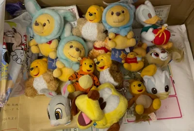 收到心心念念的小毛怪车车啦～超可爱的一个摆件～还有很稀有的帽子 很可爱 还有可爱的大眼小衣服 绝绝子！！！还有噗噗变装 超可爱的小挂件！！！很喜欢！！！