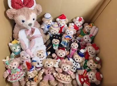 这箱是我超期待的！一到就开始开箱！首先还是一个大合照，都太漂亮了吧！而且这次走的海运，居然也就20多天就到了，速度惊到我了！