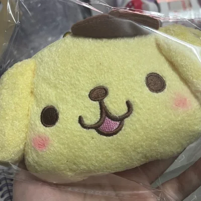 收到一堆可爱的时尚小垃圾hhh
收到心心念念的一代帕恰啦~超可爱的一个公仔真的绝绝子！！还有布丁狗sega超可爱真的很难不爱！