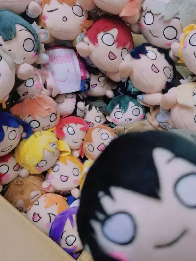 感觉有这个平台很好，可以买到自己喜欢的但是在国内买不到的中古玩偶，真的很快乐了，挖煤姬我的卡密sama！