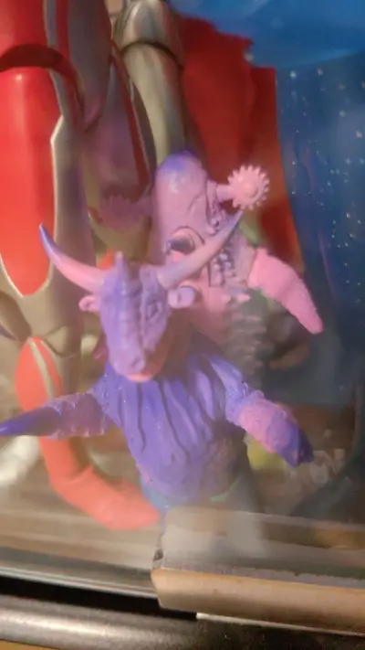 收到了超兽王和一些书籍卡牌