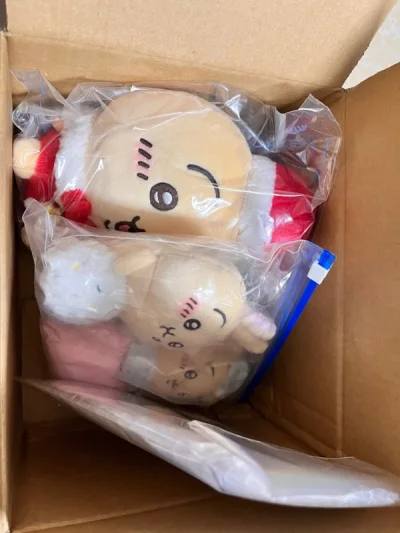 这次选的也是竹蜻蜓运回~审核的时间也不长发货回国的速度也很快！包装还不错~竹蜻蜓用来寄毛绒玩具真的挺不错的！等待下一单运回啊啊啊