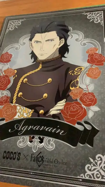 这次在煤炉上淘文件夹，非常美丽的fate文件夹，而且品相很好，无伤，会再来买的，希望煤炉有多多的好价。挖煤姬真棒呀。