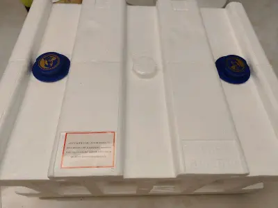 这次购物是拍卖一口价的，下单很快，没有被人截胡，非常开心。商品打包也不错 没有问题，完美到手，非常感谢！