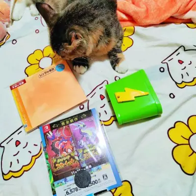 这次买了两本《铃芽的椅子》绘本!虽然价格有点小贵但是状态是非常好的!内容也非常可爱www好喜欢小铃芽和小椅子，好可爱好可爱!!一本是全新未拆一本是仅拆基本上无瑕疵的，两本都有贴纸www其中一本还捆了两个宝可梦的玩具和一个玩具棋!!!孩子非常喜欢，不错不错。也多亏了任...