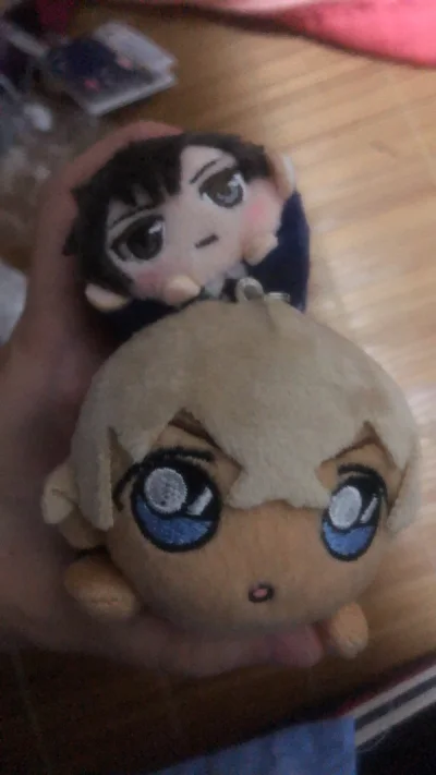 先是在日亚下单，后面看邮费不如再买点东西。于是去垃圾屋捡垃圾。没想到捡到了好价趴趴和包括推四个一组的毛绒挂件！由于还有积分用积分抵运费便宜了很多。而且发ems非常快一周就到手了，就算没花加固费也非常舍得塞泡泡纸！体验非常好了