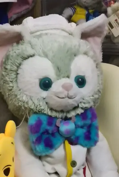 第一次选择船运，过海关的速度很快，货一发出，在海上漂了十七天就到手里啦！（这里必须夸一下姬的包装，太严实了，箱子里头的杯子都是完好的）
这次还是淘到了不少好东西！娃的小书包，苏利文的小领结！鼠王的盒子！
就是箱子十斤重，搬上楼够呛哈哈哈哈