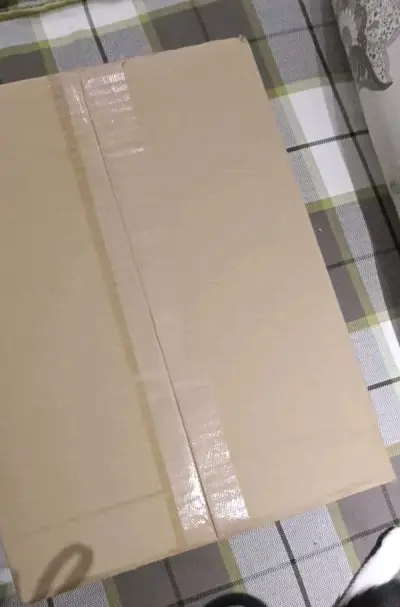 是一次成功的骏河屋日淘!这次东西比较少，就走了竹蜻蜓。从预报备到收到东西大概十多天，我感觉还是蛮快的，相比其他物流方式也便宜了不少。箱子收到以后四角尖尖，泡沫纸也很充足。从骏河屋买的谷子，虽然标着是中古，但是状态意外的不错。是一次很满意的购物!