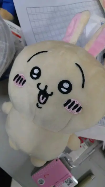 等了十几天最后果然没让我失望……购物体验很棒！非常开心地收到了兔兔……兔兔超绝かわい…从今往后就和兔兔一起冒险啦！>＜