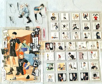 第二次也十来天就到了！个人感觉比ep、ems好，支付运费的时候就把关税算进去了，也不用在卡在海关的时候担心受怕。这次买的排球少年giga应募是看中了里面的两片表情包亚克力块，真的好可爱很适合展示，影山和日向的亚克力立牌也很好看