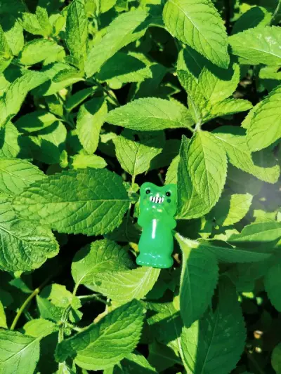 这个app就像是哆啦A梦一样，打开了一扇挖煤姬，可以尽情地买到日本的好东西！而且再也不用看日本购物平台上头痛的日文，再也不用提心吊胆的办一张张信用卡，再也不用自己联系转运公司……对于经常海淘的朋友来说真的是省心省事省力，主页上可以点击到任意站点，我经常在煤炉里搜索喜...