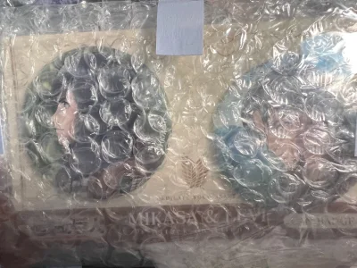 这次的海运件特别地迅速，很快就到手了。原卖家的包装很仔细，还写了感谢购买的小纸条，东西都和他们的描述相符。
感谢挖煤姬的代切，新的一年会继续支持的！