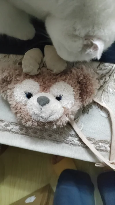 两个大脸包到手啦 很开心 成色也很不错 现在大脸包可贵 这次买的价格还算不错 15周年托尼成色也很新 毛毛特别滑