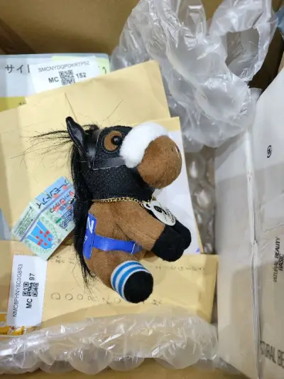 选了eMS确实很快，就是重量比我预先称重的要重了不少，箱子太大了，所以超过了预期，总体还算满意，买了点杂货和小卡，没什么特别的。希望以后多多推出小重量合单的优惠活动，小卡很小的东西也只能合6单非常不划算，都是一个信封能装的东西