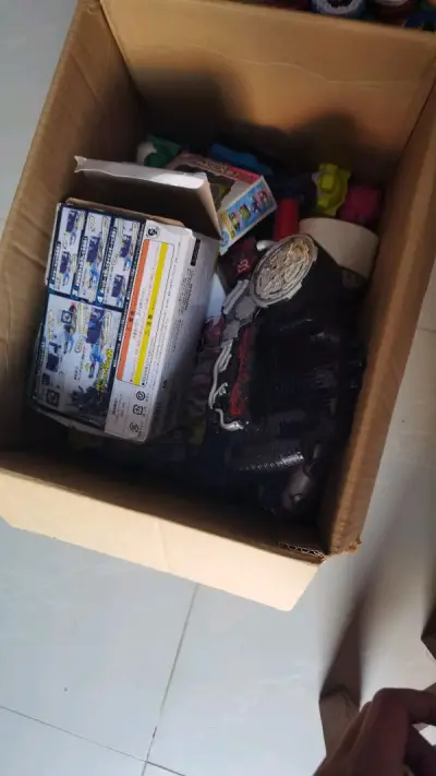 首先，挖煤姬的包装非常好，相比较国内也是很便宜的，没有破损，海运也比较便宜。祝愿你们越来越好，蒸蒸日上。