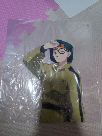 挖煤姬的第21单，主要是一些EVA的胶片，还有2张赛璐璐，这次商品价格都还可以，EMS发挥稳定，到货后也没有被税很欣慰。这些东西淘的差不多了，有些比较贵但很喜欢的前几天也都买了。期待之后的到货。