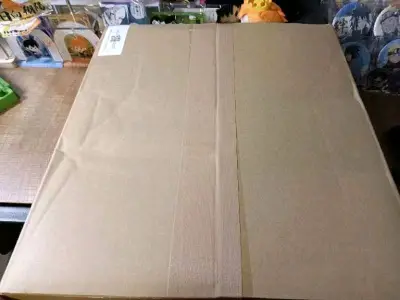 这单包装很好特别好，EMS很快特别快，过关也很丝滑特别丝滑，买的东西都没有损伤，很满意的一次购物体验，会再回购