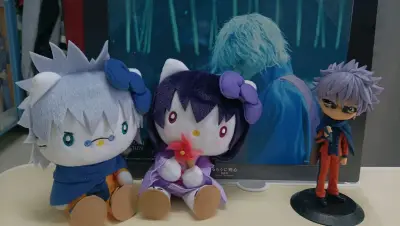 照例是选择的海运，不得不说挖煤姬的包装真的不错，箱子是那种硬箱子，不容易变形，里面的东西更有保障。这次是浪客剑心的主场，买了不少的娃娃，最开心的是买到了巴和缘的HelloKitty娃娃，真的很可爱，保存的也很好。是一次很愉快的海淘